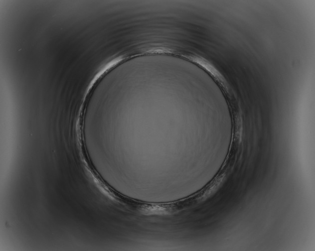 X0000086910806200705071303