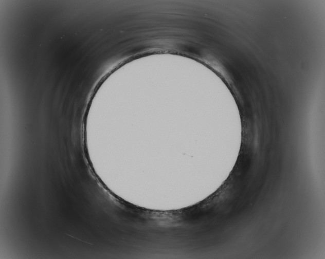 X0000086910807200705071302