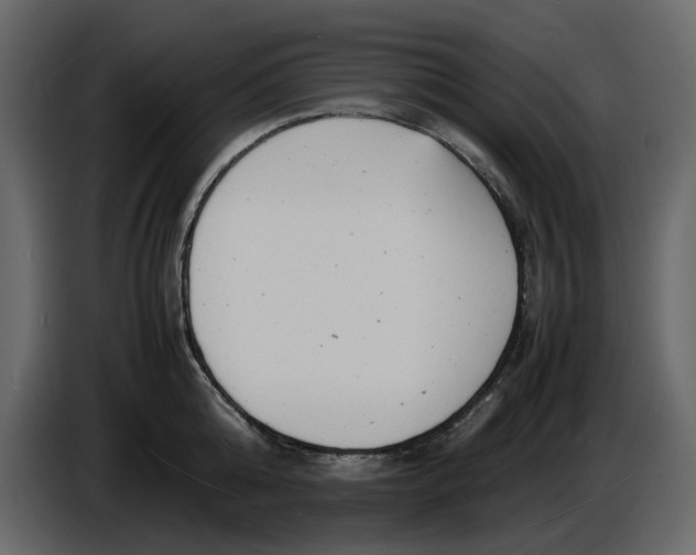 X0000086910808200705071302