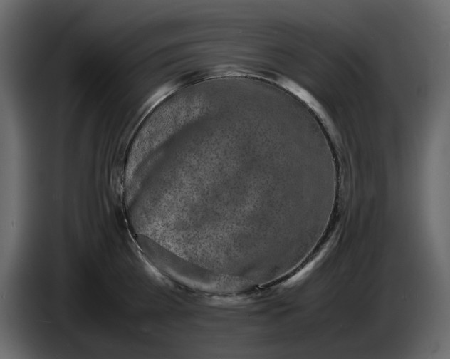 X0000086910809200705071302