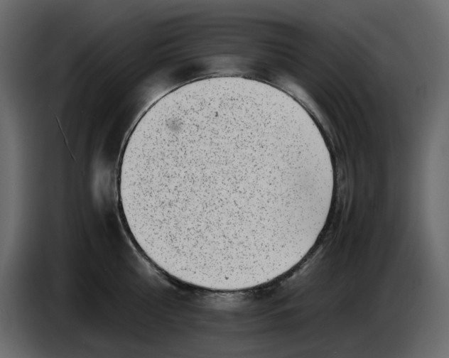 X0000086910810200705071302