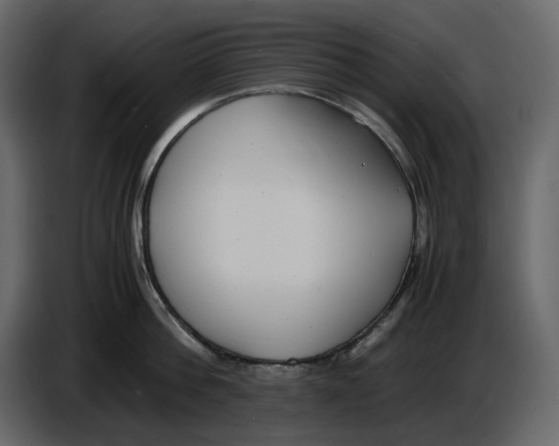 X0000086910812200705071302