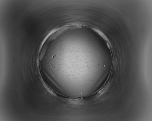 X0000086910813200705071302