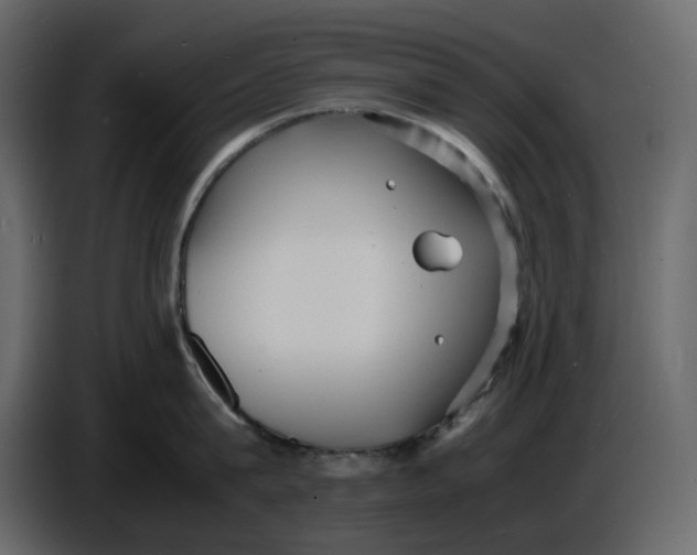 X0000086910815200705071302