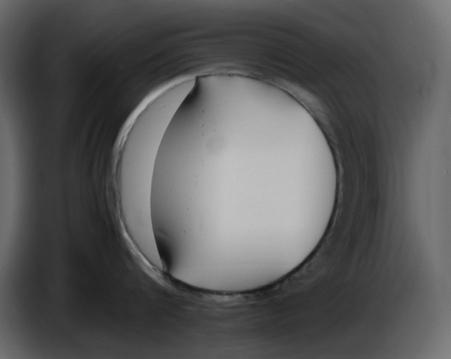 X0000086910816200705071302