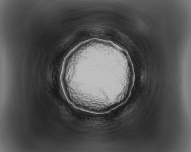 X0000086910819200705071302