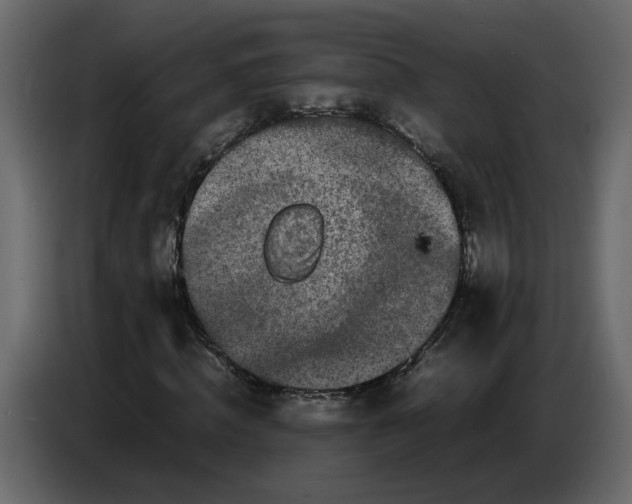 X0000086910820200705071302