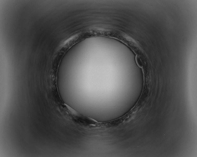 X0000086910822200705071302