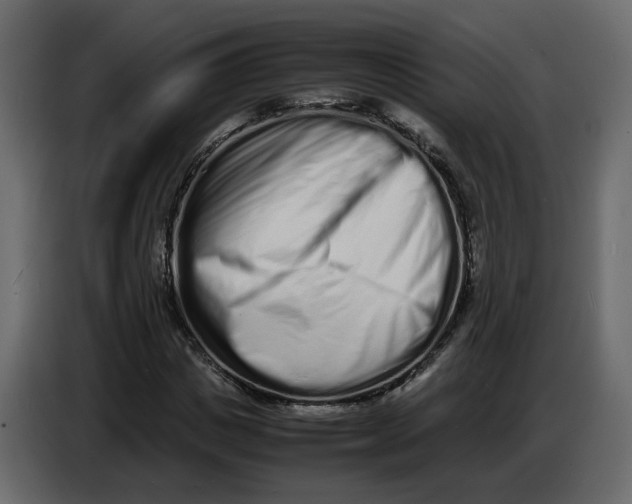 X0000086910825200705071302