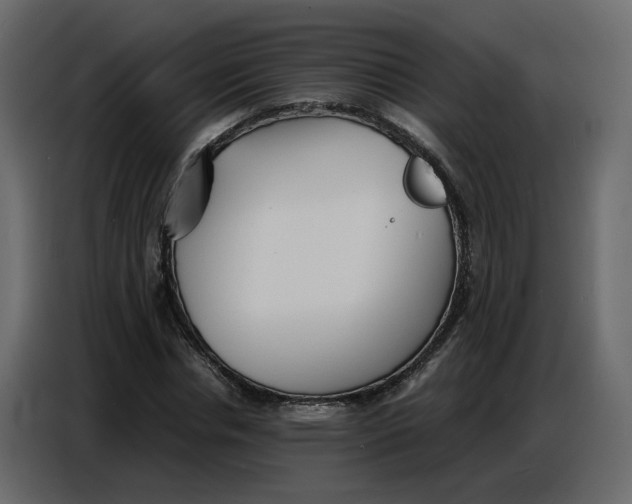 X0000086910826200705071302