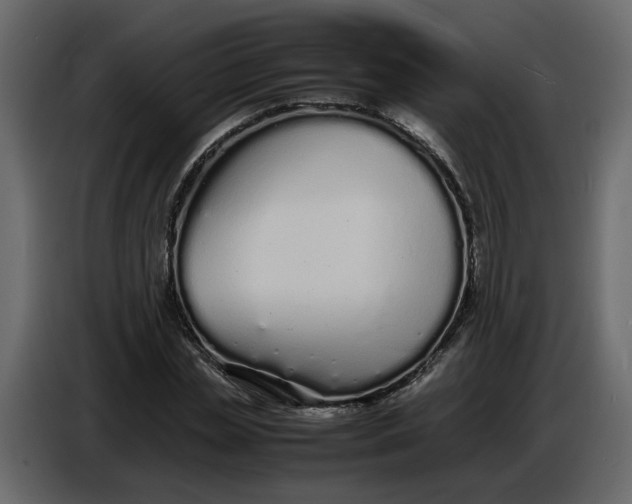 X0000086910829200705071302