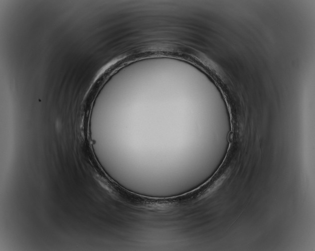 X0000086910830200705071302