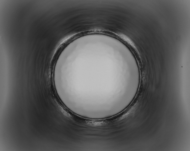 X0000086910831200705071302