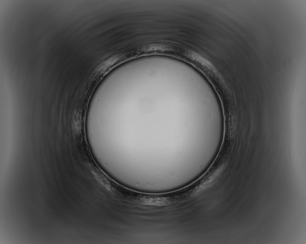 X0000086910833200705071302