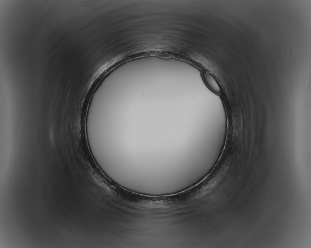 X0000086910834200705071302