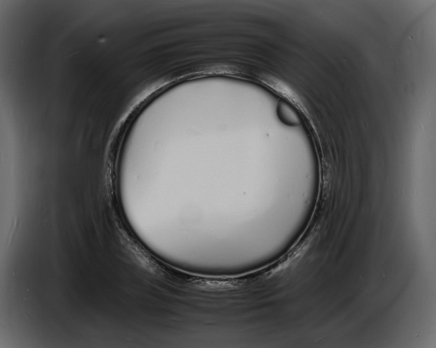 X0000086910835200705071302