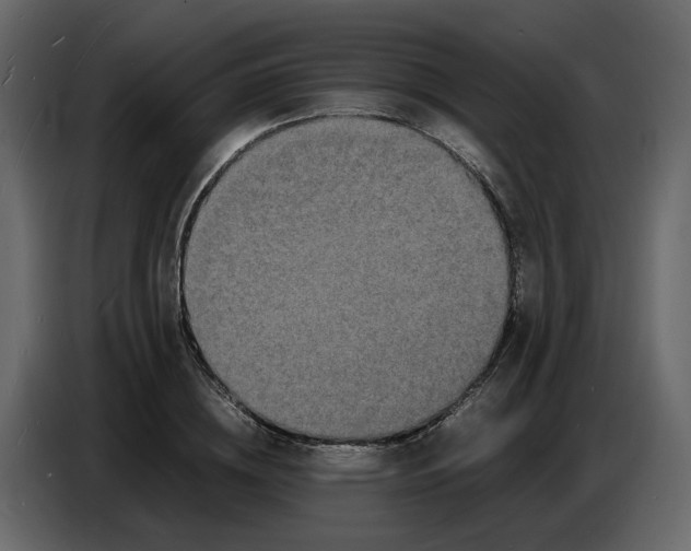 X0000086910836200705071302