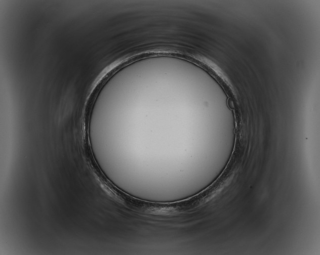 X0000086910837200705071302