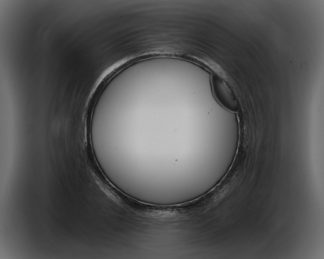 X0000086910838200705071302