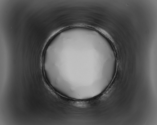 X0000086910839200705071302