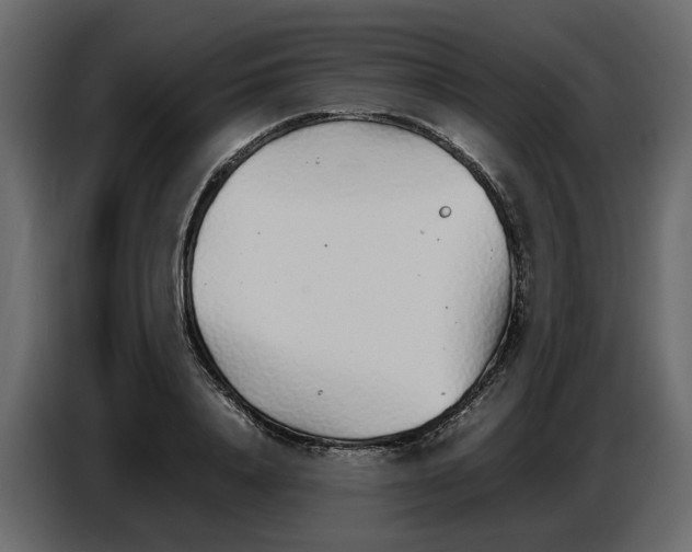 X0000086910840200705071302