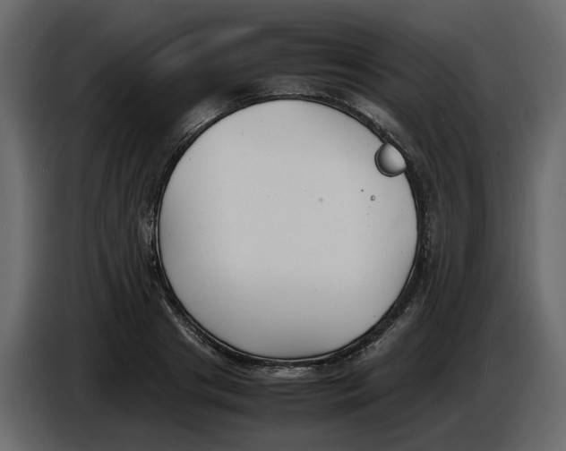 X0000086910841200705071302