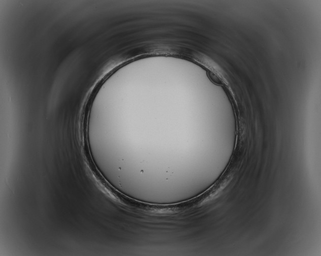 X0000086910843200705071302