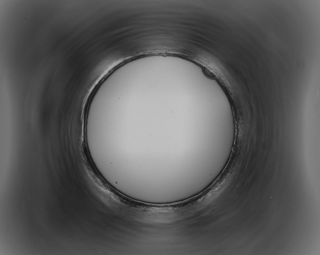 X0000086910844200705071302