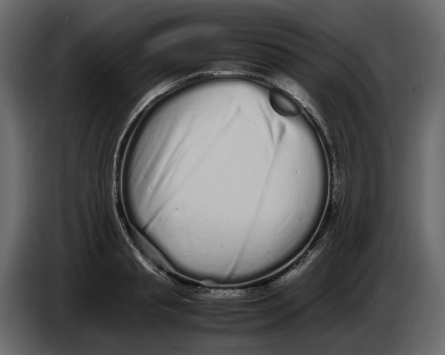 X0000086910845200705071302