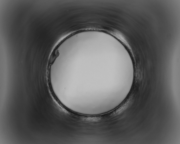 X0000086910847200705071302