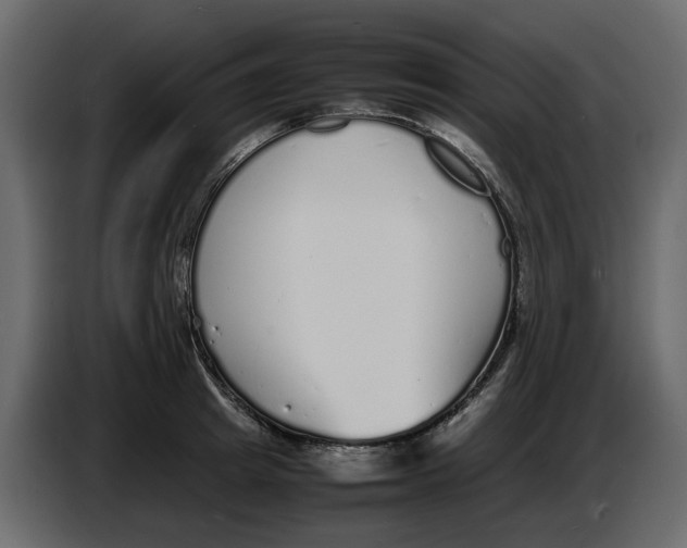 X0000086910849200705071302