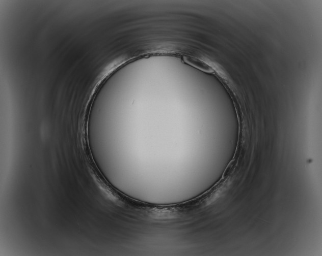 X0000086910850200705071302