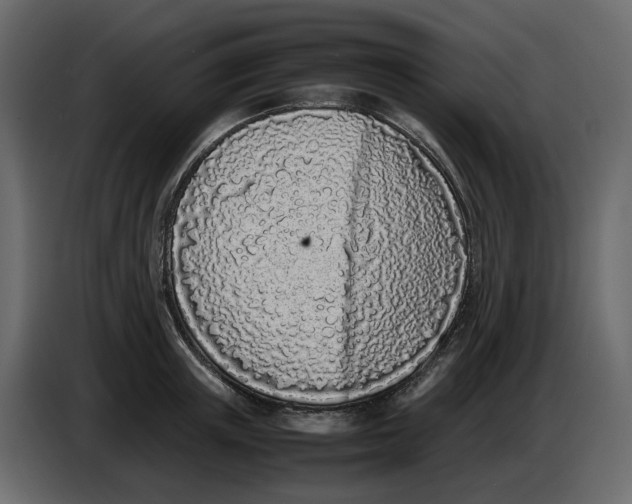 X0000086910851200705071302