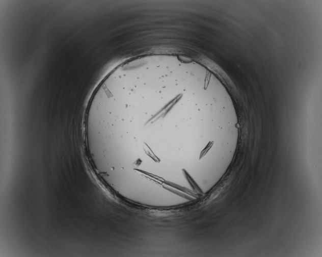 X0000086910852200705071302