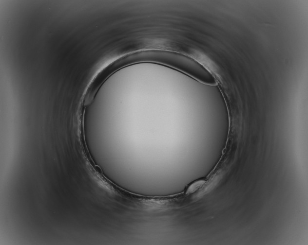 X0000086910854200705071302