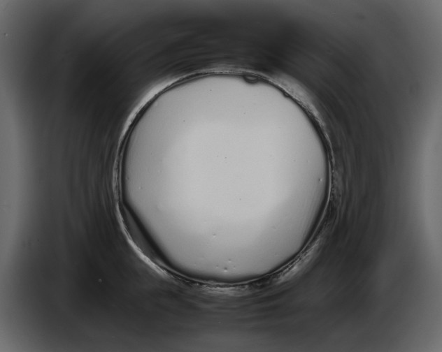 X0000086910855200705071302