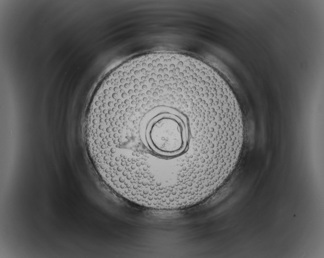 X0000086910856200705071302