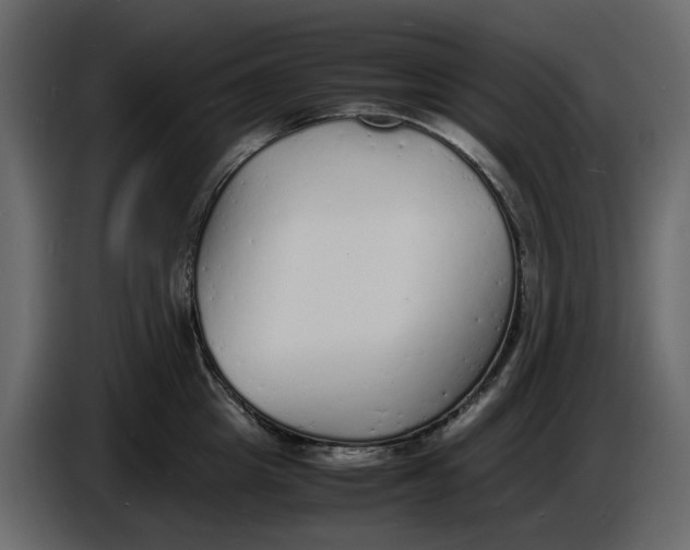 X0000086910857200705071302