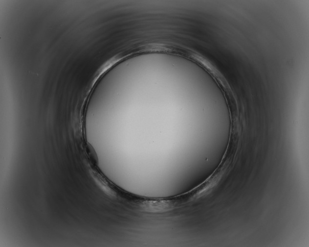 X0000086910858200705071302