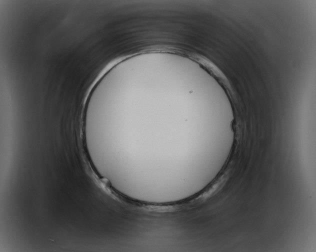 X0000086910860200705071302