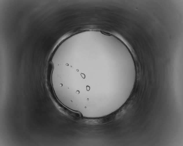 X0000086910861200705071302