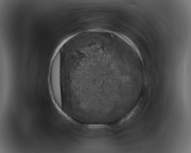 X0000086910863200705071302