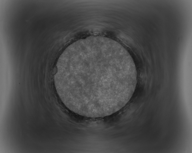 X0000086910865200705071302