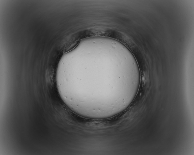 X0000086910867200705071302