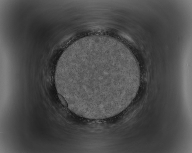 X0000086910869200705071301