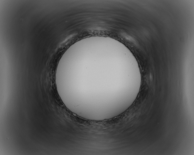 X0000086910870200705071301