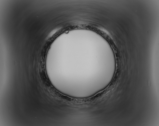 X0000086910871200705071301