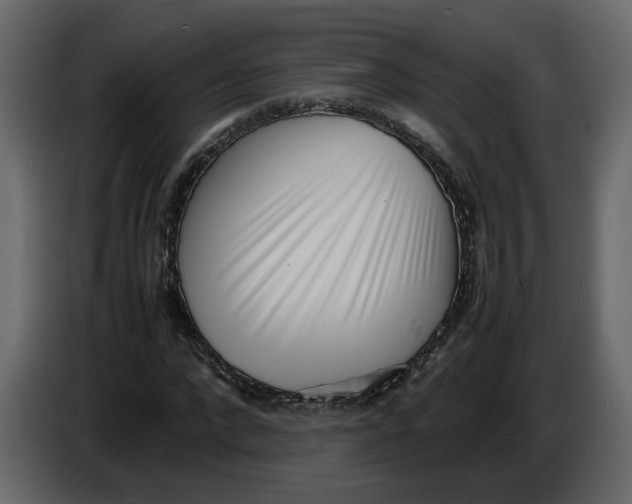 X0000086910872200705071301