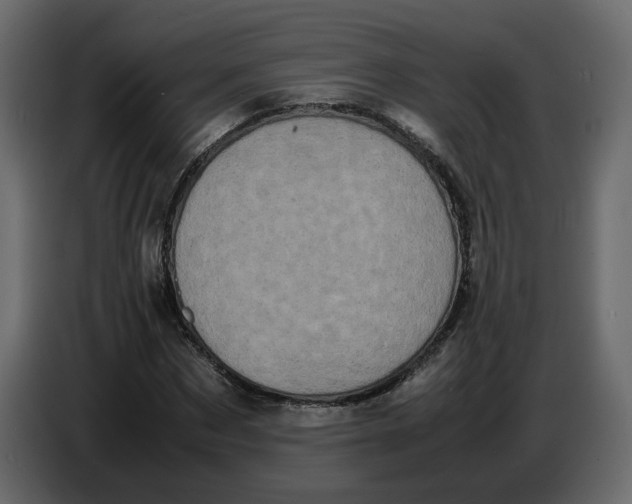 X0000086910873200705071301