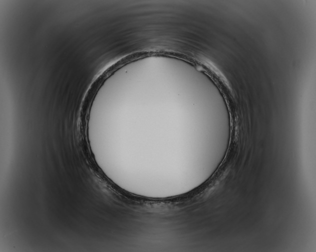 X0000086910876200705071301